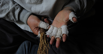 박동춘 소장 제다 준비과정